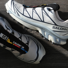 Giày Thể Thao Salomon XT-6 GTX Silver Cloud / Black L49201400