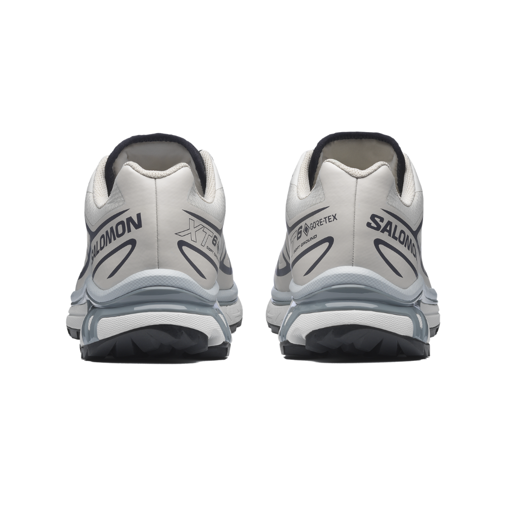 Giày Thể Thao Salomon XT-6 GTX Silver Cloud / Black L49201400