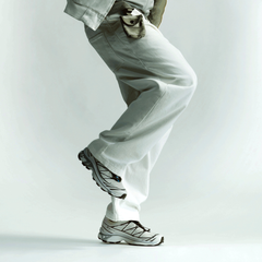 Giày Thể Thao Salomon XT-6 GTX Silver Cloud / Black L49201400