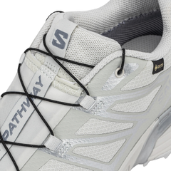 Giày Thể Thao Unisex Salomon XT-Pathway GTX Lunroc/Allo/Ftw Silver L47730900