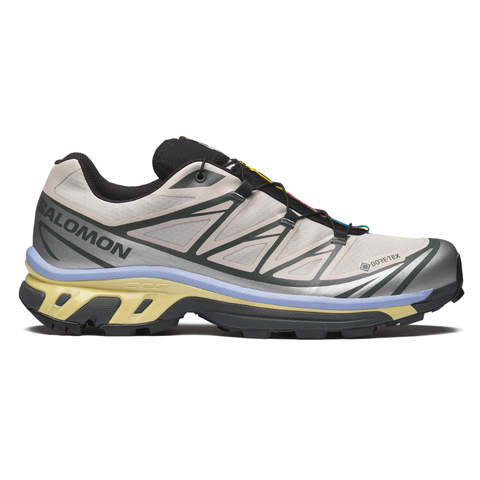 Giày Thể Thao Unisex Salomon XT-6 Gore Tex Silver Cloud/Urban Chic/Shadow Green L49216100