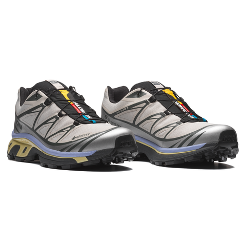 Giày Thể Thao Unisex Salomon XT-6 Gore Tex Silver Cloud/Urban Chic/Shadow Green L49216100