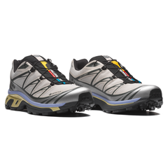 Giày Thể Thao Unisex Salomon XT-6 Gore Tex Silver Cloud/Urban Chic/Shadow Green L49216100