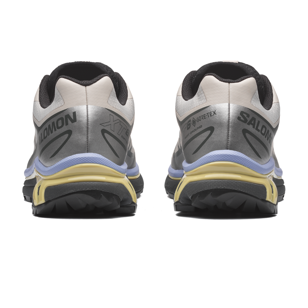 Giày Thể Thao Unisex Salomon XT-6 Gore Tex Silver Cloud/Urban Chic/Shadow Green L49216100