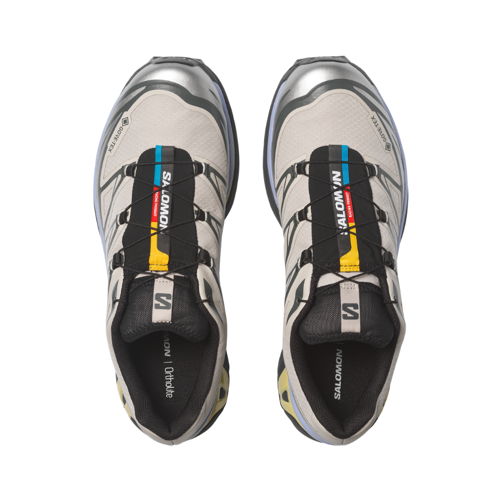 Giày Thể Thao Unisex Salomon XT-6 Gore Tex Silver Cloud/Urban Chic/Shadow Green L49216100