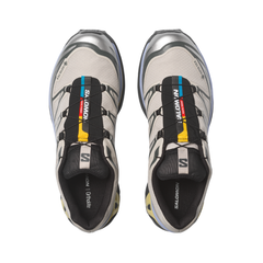 Giày Thể Thao Unisex Salomon XT-6 Gore Tex Silver Cloud/Urban Chic/Shadow Green L49216100