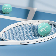 Bóng Tennis Wilson Aqualuna Tball 2 Ball Can Set 12 (6 Lon) WR8216801001