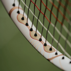 Vợt Tennis Wilson RF 01 Hall of Fame Pro Tennis Racket WR217511U2