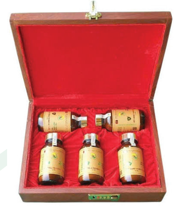  Bột đông trùng hạ thảo cao cấp 5 lọ 