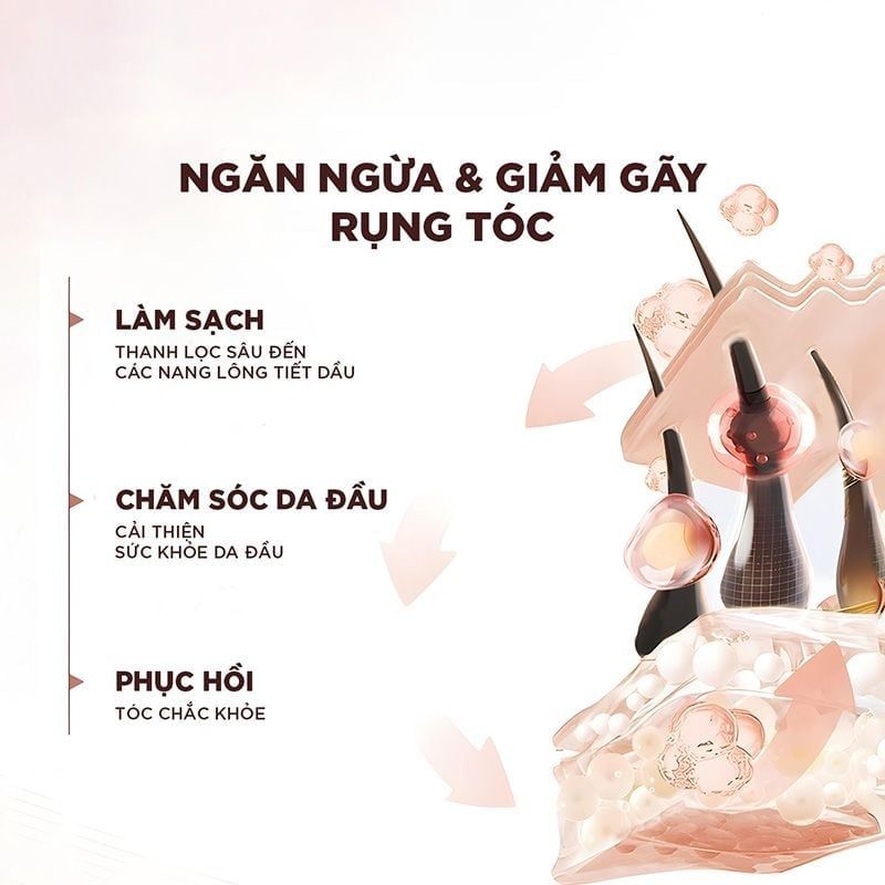 Dầu Gội, Dầu Xả L'oreal Giảm Rụng Tóc, Giúp Tóc Chắc Khỏe Full Resist 440ml