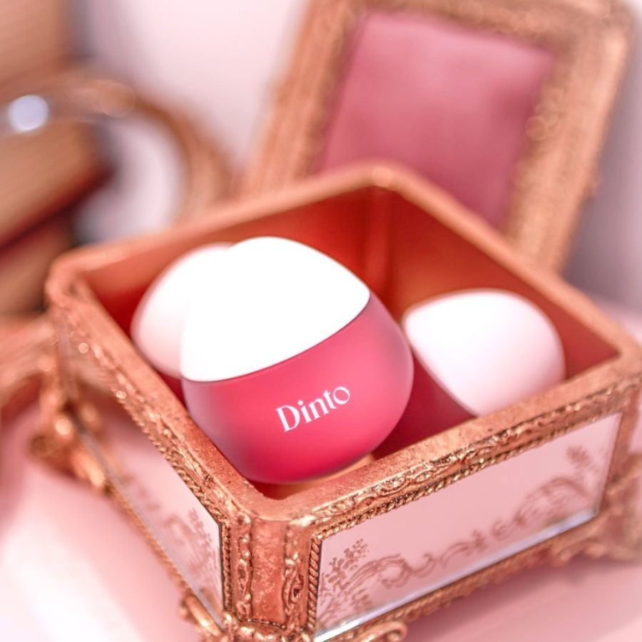 Mặt Nạ Môi Dinto Chubby Mocchi Jelly Paw Paw 10g - 792