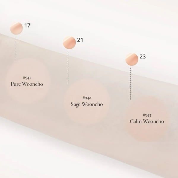 Phấn Nước Dinto Blur-Glowy Wooncho Cushion