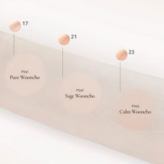 Phấn Nước Dinto Blur-Glowy Wooncho Cushion