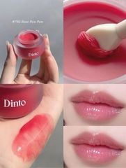 Mặt Nạ Môi Dinto Chubby Mocchi Jelly Paw Paw 10g - 792