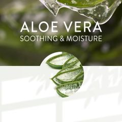 Gel Lô Hội Nature Republic Aloe Vera 92% Soothing Gel 300ml