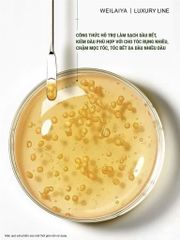 Dầu gội gừng xanh detox Weilaiya luxury 420ml