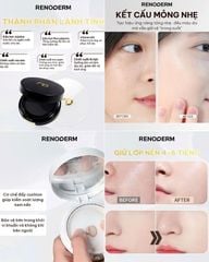 Phấn Nước Renoderm Day Long BB Cream SPF37 PA++ 15g