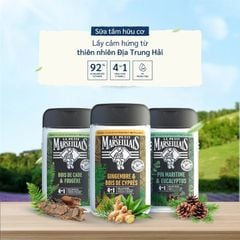 Sữa Tắm 92% Hữu Cơ Le Petit Marseillais 4in1 For Men 250ml