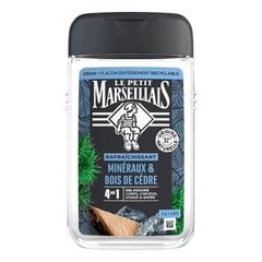Sữa Tắm 92% Hữu Cơ Le Petit Marseillais 4in1 For Men 250ml