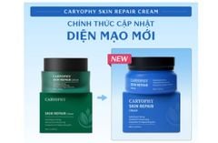 Kem Dưỡng Caryophy Cấp Ẩm Và Phục Hồi Da Skin Repair Cream 40ml