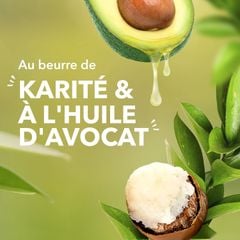 Son dưỡng môi Le Petit Marseillais chiết xuất bơ hạt mỡ và dầu bơ 4.9g
