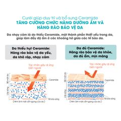 Sữa chống nắng Curél Mặt & Toàn Thân Cho Da Khô Nhạy Cảm 60ml