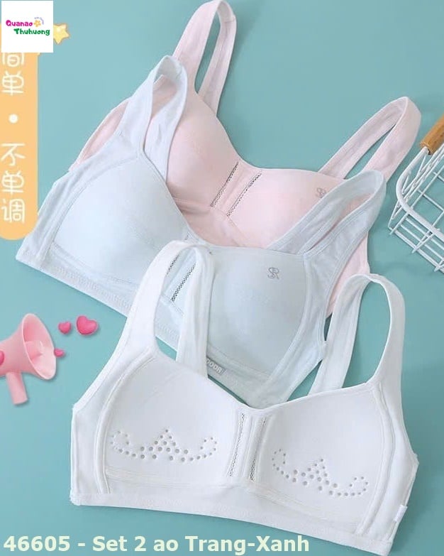 Set 2 áo lá trắng xanh