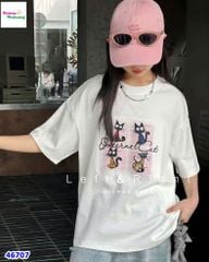 Áo trắng 4 con mèo