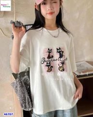 Áo trắng 4 con mèo