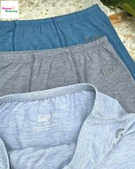 Set 3 quần chip Gee bé trai