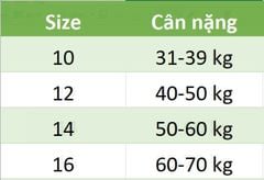 Set 3 quần chip Gee bé trai