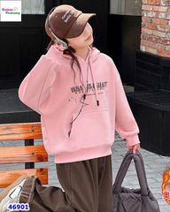 Hoodie hồng What is?