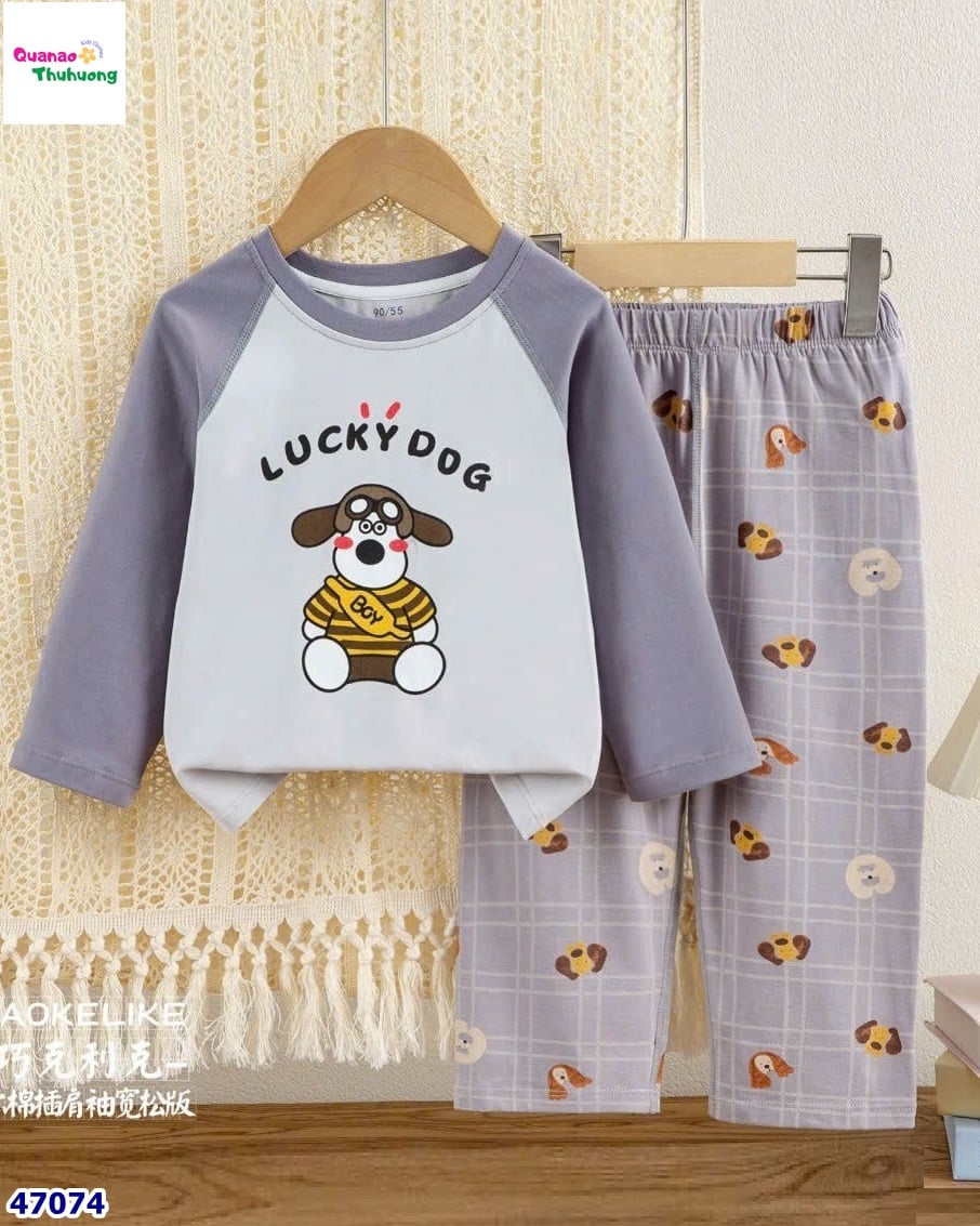 Bộ dài xám lucky dog