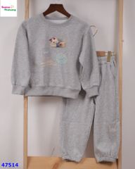 Set bộ dài xám chó