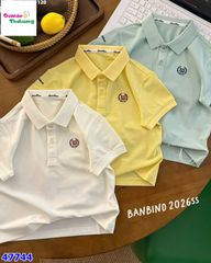 Áo Banbino polo kem W