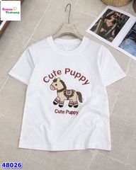 Áo thun trắng thêu ngựa Cute