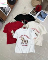 Áo thun trắng thêu ngựa Cute