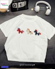 Áo trắng thêu 3 con ngựa