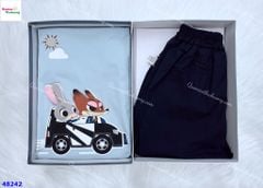 Bộ áo xanh cáo & thỏ 3D