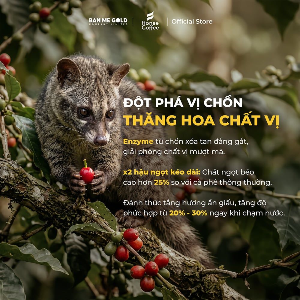 [KÈM BÌNH Ủ] Cà Phê Ủ Lạnh Cold Brew Bằng Hạt Cà Phê Hương Chồn SIÊU ÊM, MƯỢT, KHÔNG ĐẮNG GẮT - Cafe Ủ Lạnh Cold Brew