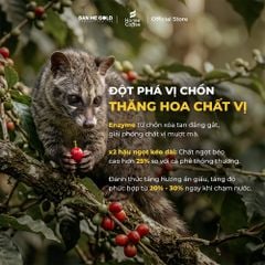 [KÈM BÌNH Ủ] Cà Phê Ủ Lạnh Cold Brew Bằng Hạt Cà Phê Hương Chồn SIÊU ÊM, MƯỢT, KHÔNG ĐẮNG GẮT - Cafe Ủ Lạnh Cold Brew