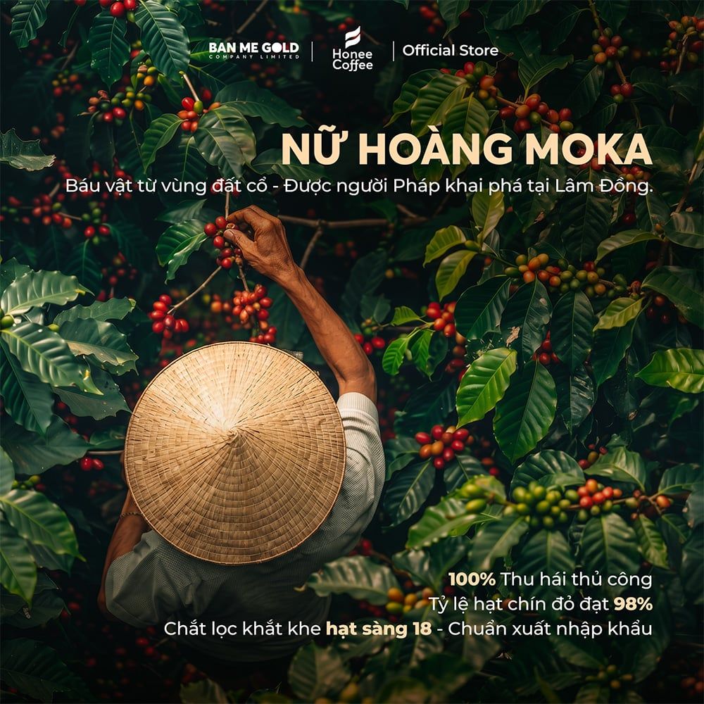 [KÈM BÌNH Ủ] Cà Phê Ủ Lạnh Cold Brew Bằng Hạt Cà Phê Moka PHỦ MẬT ONG HẬU NGỌT SÂU - Honey Moka Cafe Ủ Lạnh Cold Brew