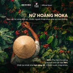 [KÈM BÌNH Ủ] Cà Phê Ủ Lạnh Cold Brew Bằng Hạt Cà Phê Moka PHỦ MẬT ONG HẬU NGỌT SÂU - Honey Moka Cafe Ủ Lạnh Cold Brew
