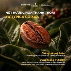 [KÈM BÌNH Ủ] Cà Phê Ủ Lạnh Cold Brew Bằng Hạt Cà Phê Hương Chồn SIÊU ÊM, MƯỢT, KHÔNG ĐẮNG GẮT - Cafe Ủ Lạnh Cold Brew