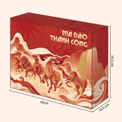 Set Quà Mã đáo thành công A33-5