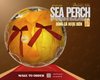  BÓNG CÁ VƯỢC HOANG DÃ - PREMIUM SEA PERCH FISH MAW - 2 pcs 