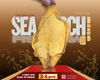  BÓNG CÁ VƯỢC HOANG DÃ - PREMIUM SEA PERCH FISH MAW - 3-4pcs 