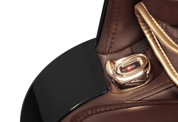 Ghế massage Daikiosan DC300