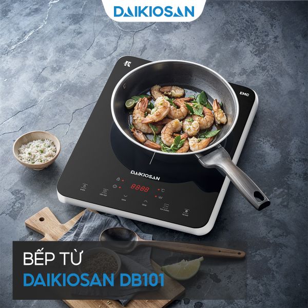 Bếp từ đơn Daikiosan DB101