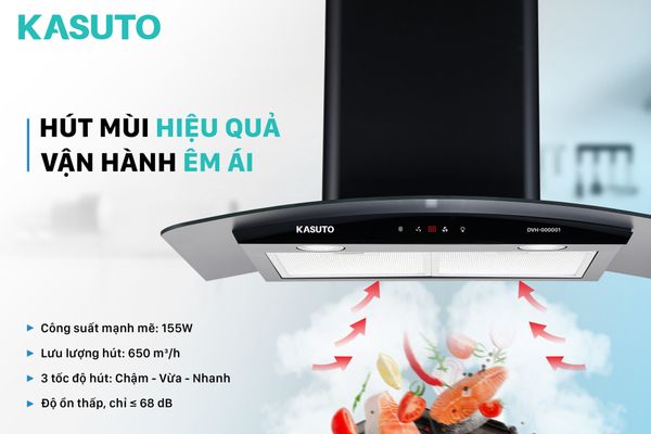 Máy hút mùi Đại Việt DVH-000001